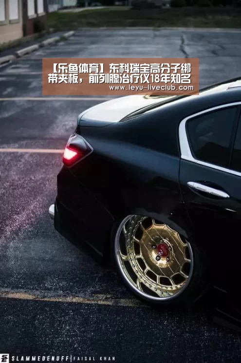 【乐鱼体育】东科瑞宝高分子绑带夹板,前列腺治疗仪18年知名品牌(图1) 乐鱼体育赛事直播