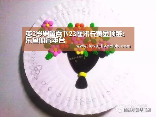 乐鱼体育平台