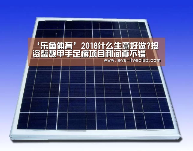 乐鱼体育赛事直播