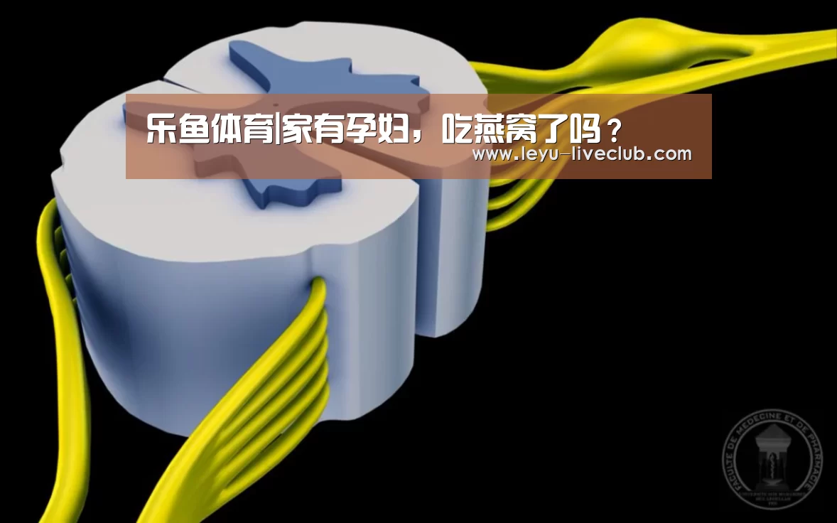 乐鱼体育|家有孕妇，吃燕窝了吗？