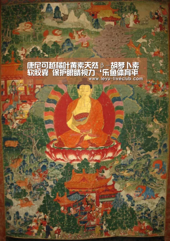 乐鱼体育平台